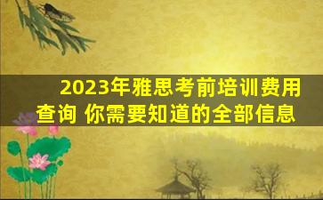 2023年雅思考前培训费用查询 你需要知道的全部信息